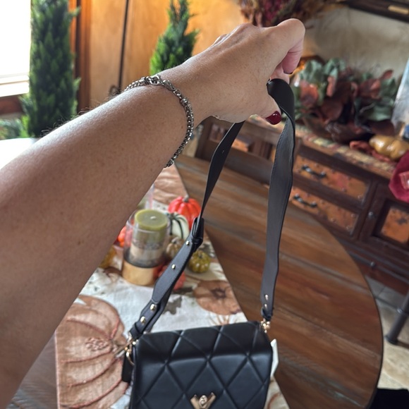 Valentino Orlandi - Picture 6 of 8